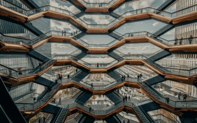 Rethinking Director Effectiveness in an Age of Permanent Disruption