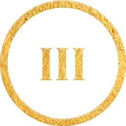 Specialized Insurance